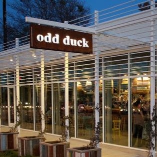 Odd Duck logo