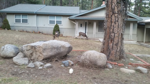 Ruidoso Lodge Cabins