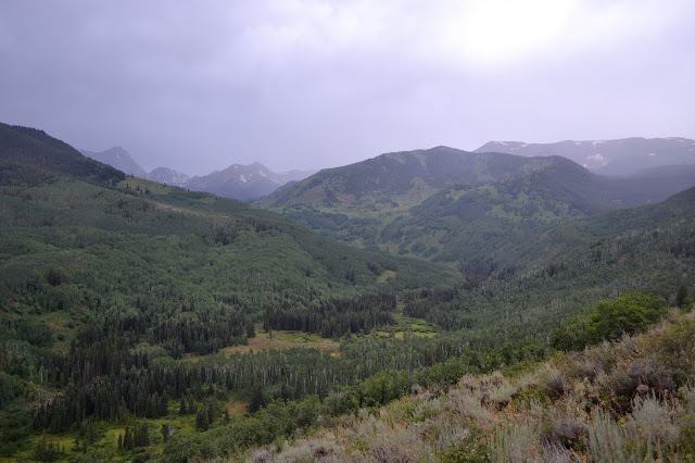 looking down on Capitol Creek