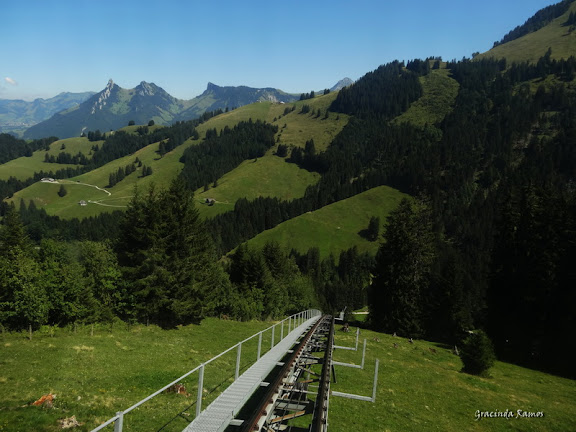 Passeando pela Suíça - 2012 - Página 16 DSC05904