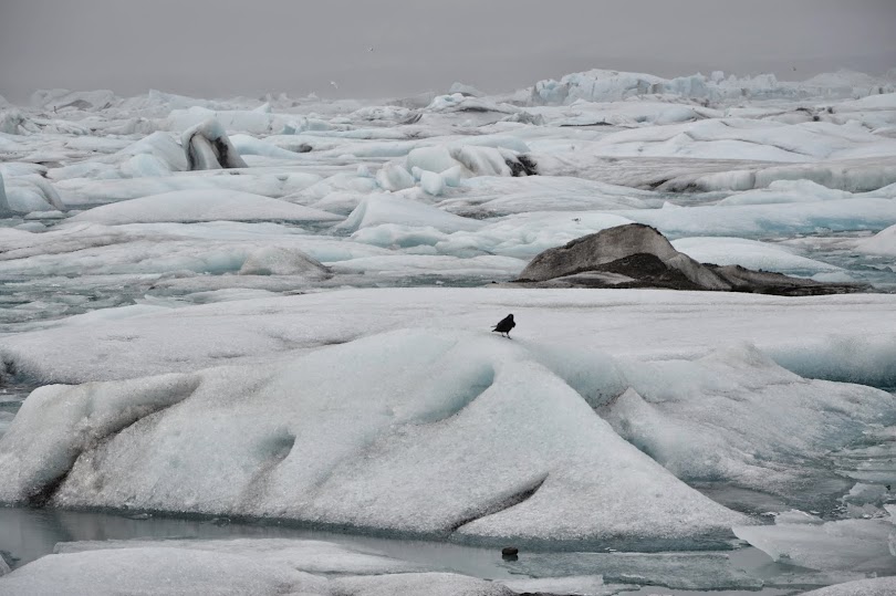 JOKULSARLON GLACIER LAGOON - ISLANDIA POR LOSFRATI (20)