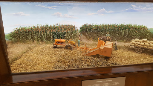 Louisiana State Exhibit Museum