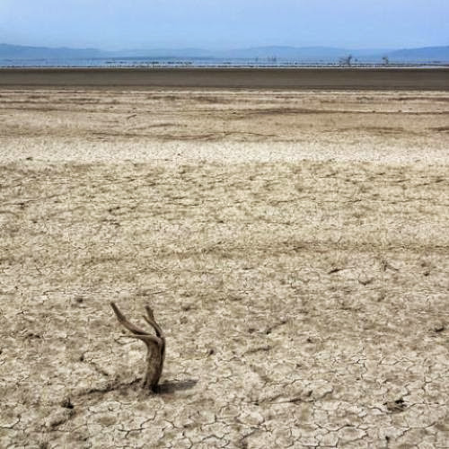Can Geothermal Energy Save Californias Salton Sea