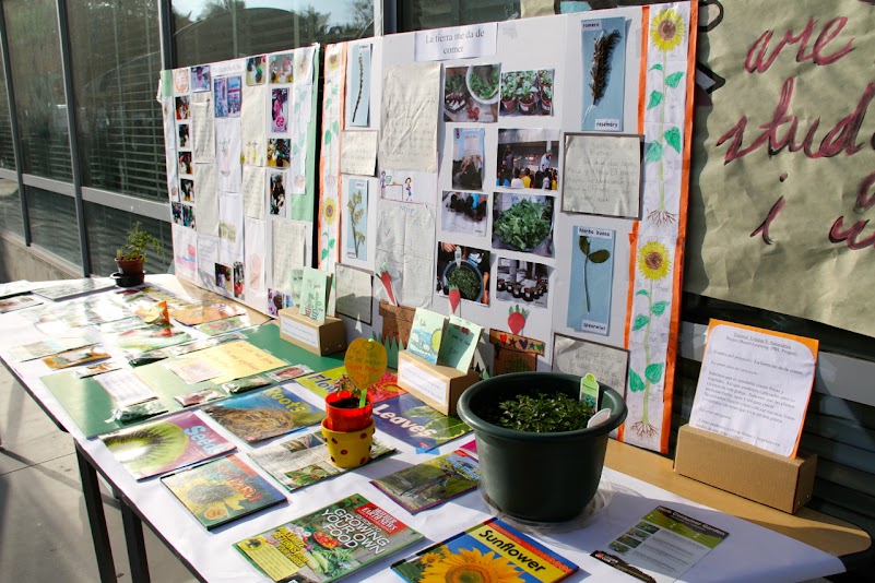 Esperanza Elementary School first grade garden project at Evaluate This!