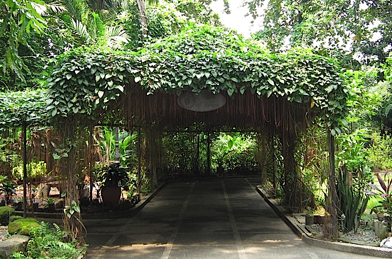 vine-covered walkway at the Rizal Park Orchidarium