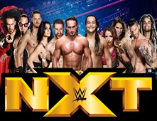 مشاهدة عرض المصارعة الحرة WWE NXT 2014/07/03 مترجم مشاهدة مباشرة على اكثر من سيرفر 1