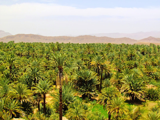 MARRUECOS: EL GRAN SUR - Blogs de Marruecos - MARRUECOS: EL GRAN SUR (37)