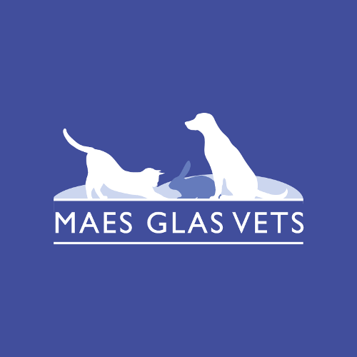 Maes Glas Vets, Barry logo