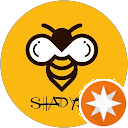 Shady Bee