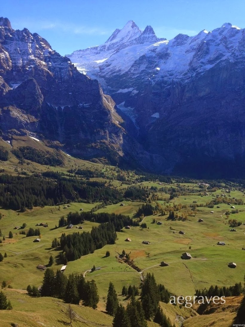 a view from above Grindelwald, Switzerland, by A.E. Graves, October 2013