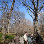 Central Park - what a great place to walk around