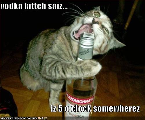 Some day, I will cease to be amused by LOLcats, and use some other image. That day is probably very far off.