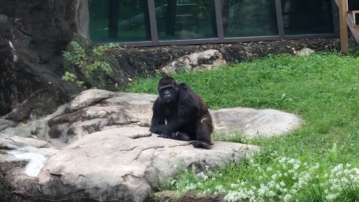 Topeka Zoo