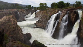 Silky Smooth Hogenakkal Falls