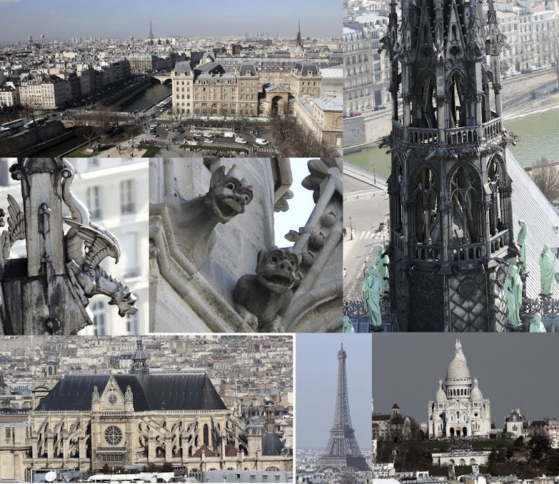 5 dias intensos conociendo Paris - Blogs de Francia - Île de la Cité, Barrio Latino, Zona Panteón y Montparnasse (4)
