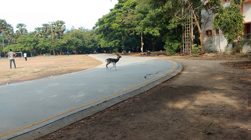 Sangam Ground and Skating Rink, Godavari Hostel Tharamani Stand, Indian Institute Of Technology, Chennai, Tamil Nadu 600036, India, Sports_Center, state TN