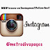 MDP is now on Instagram!