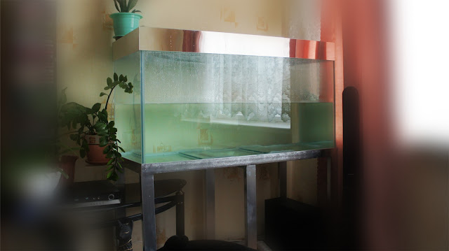 akvarium
