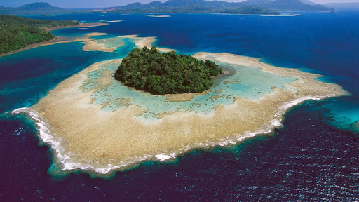Kimbe Bay, West New Britain Island, Papua New Guinea.jpg