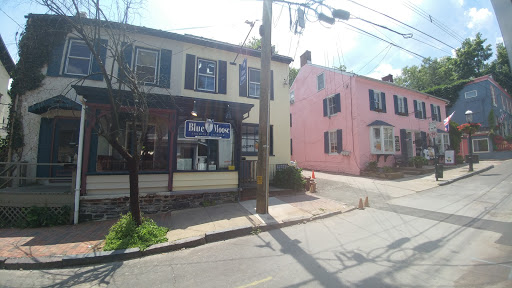 Restaurant «Blue Moose Restaurant & Cafe», reviews and photos, 9 W Mechanic St, New Hope, PA 18938, USA