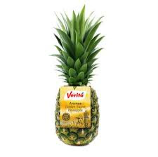 Tekno Pineapple picture