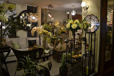 Photos of CANTERANO