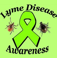 Lyme Disease What You Need to Know