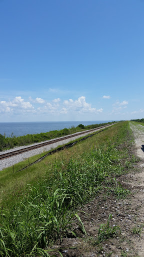 Bayou Sauvage National Wildlife Refuge