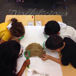 Photo of Looking at soil