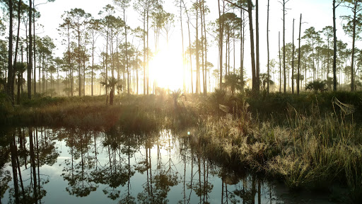 Visitor Center «Big Cypress Swamp Welcome Center», reviews and photos