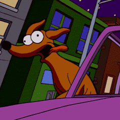 Innovative Othnielia