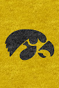 Iowa%252520Hawkeyes%252520Yellow%2525203.jpg