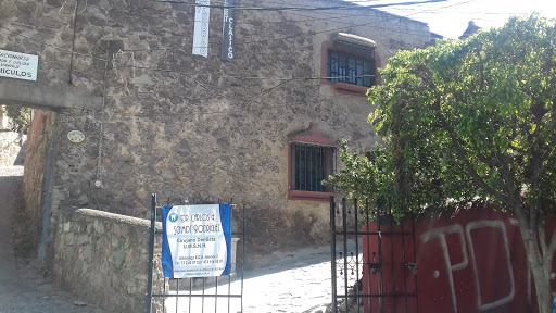 CONSULTORIO DENTAL C.D. CARLOS E. SCHMIDT R., 36020, Calle Alhóndiga 32, San Javier, Guanajuato, Gto., México, Dentista cosmético | GTO