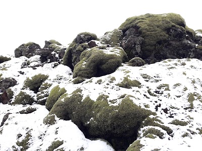 Photos of Scenic Green Lava Walk