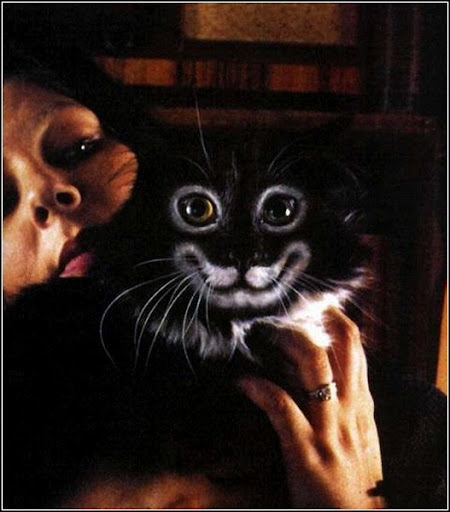 Кошачий бодиарт - Зона Твиста - alextwist.livejournal.com