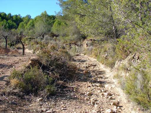 Senderismo: Cabanes - La Ferradura