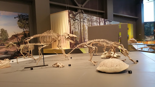 North Dakota Heritage Center & State Museum