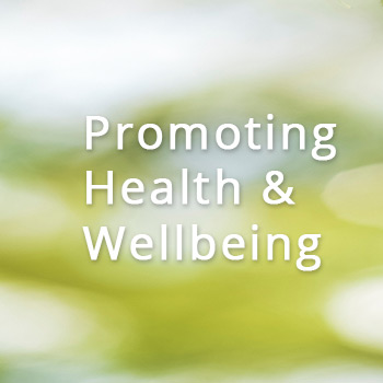 Willow Therapies logo