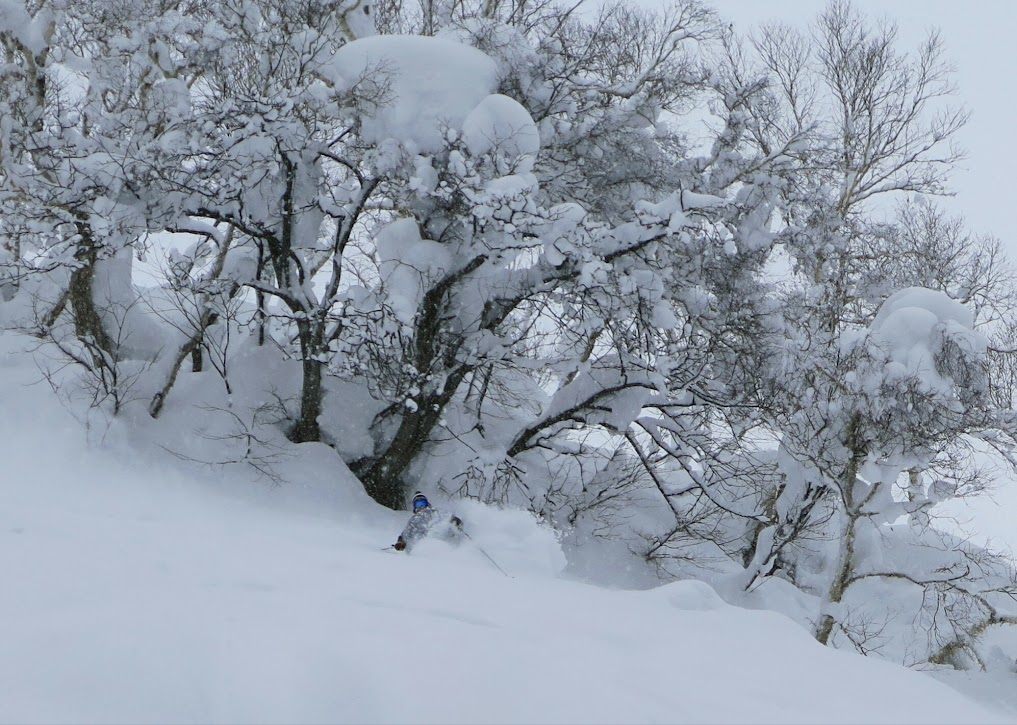 Viaje al país del pow naciente. Japón. 