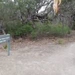 Signpost along the track (108256)