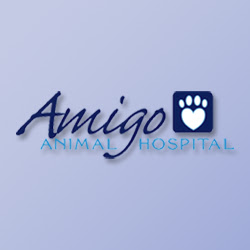 Amigo Animal Hospital