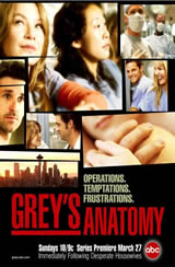 Greys Anatomy 8x17 Sub Español Online