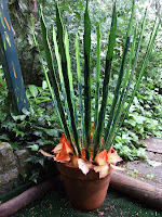 Bloempot balkonrand