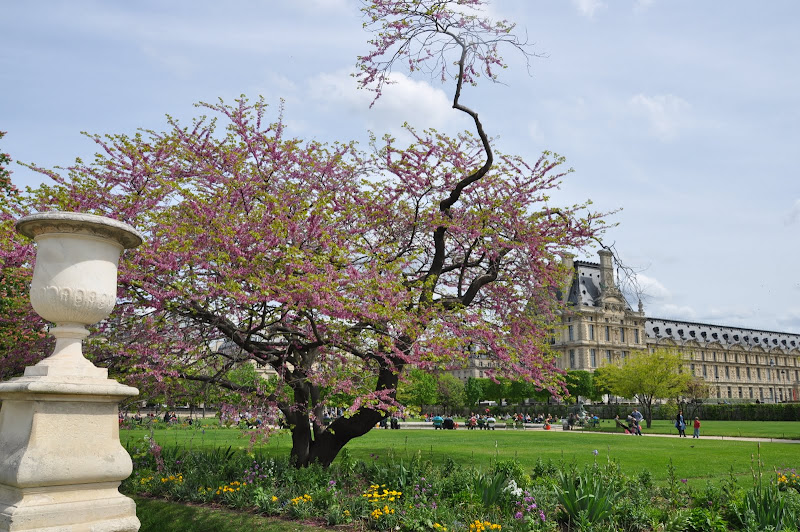 Paris: Hình ảnh Vườn Tuileries DSC_0697