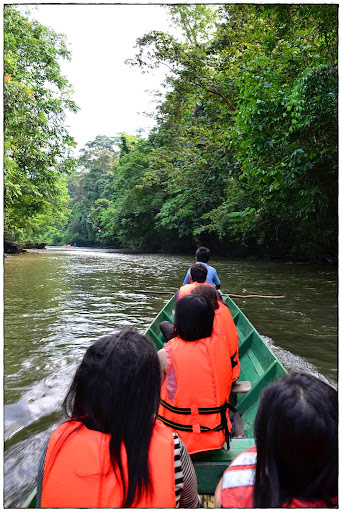 Gunung Mulu - Kuala Lumpur, Borneo malayo y Bali (7)