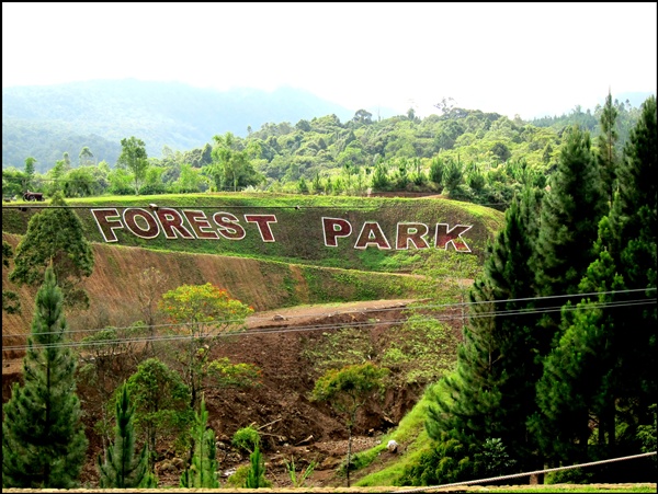 Bukidnon