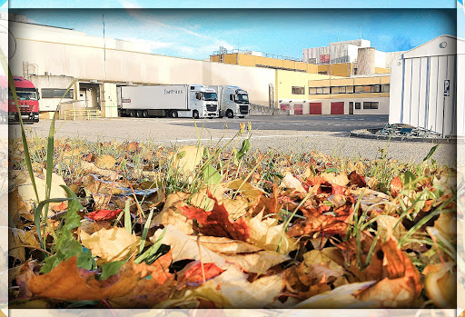 Danone Produits Frais France