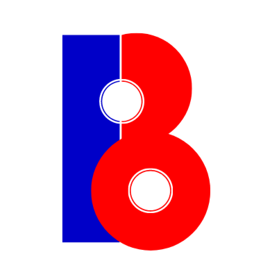 Binaks Solutions logo