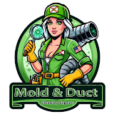 Mold & Duct Cleaning Experts