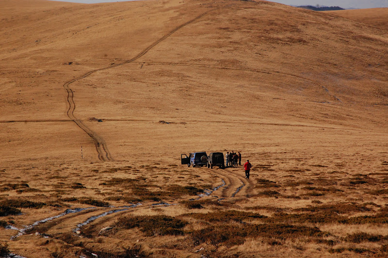 DSC_0592.JPG